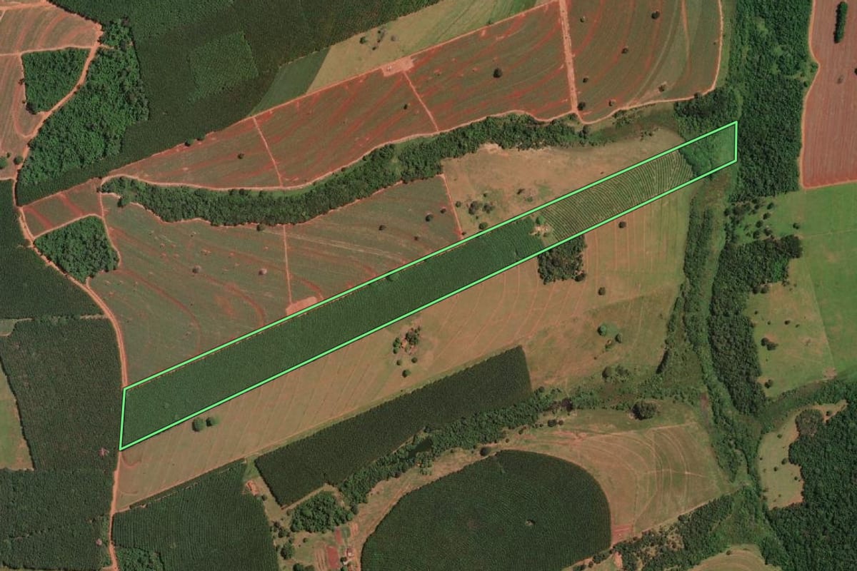 Imagem de satélite do imóvel rural em Palestina (SP), com o contorno declarado no CAR desenhado por cima.