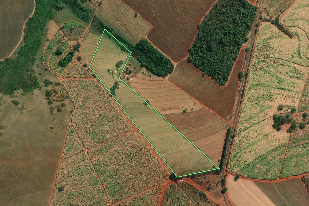 Imagem de satélite do imóvel rural em Palestina (SP), com o contorno declarado no CAR desenhado por cima.