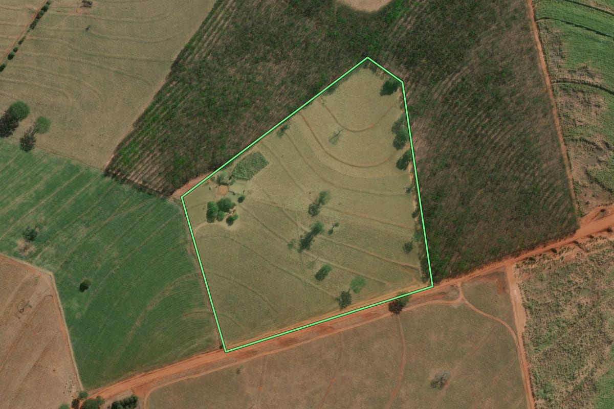 Imagem de satélite do imóvel rural em Palestina (SP), com o contorno declarado no CAR desenhado por cima.
