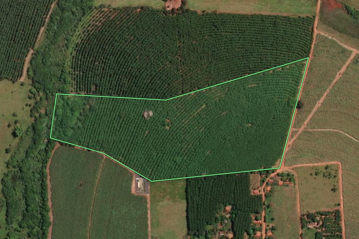 Imagem de satélite do imóvel rural em Palestina (SP), com o contorno declarado no CAR desenhado por cima.