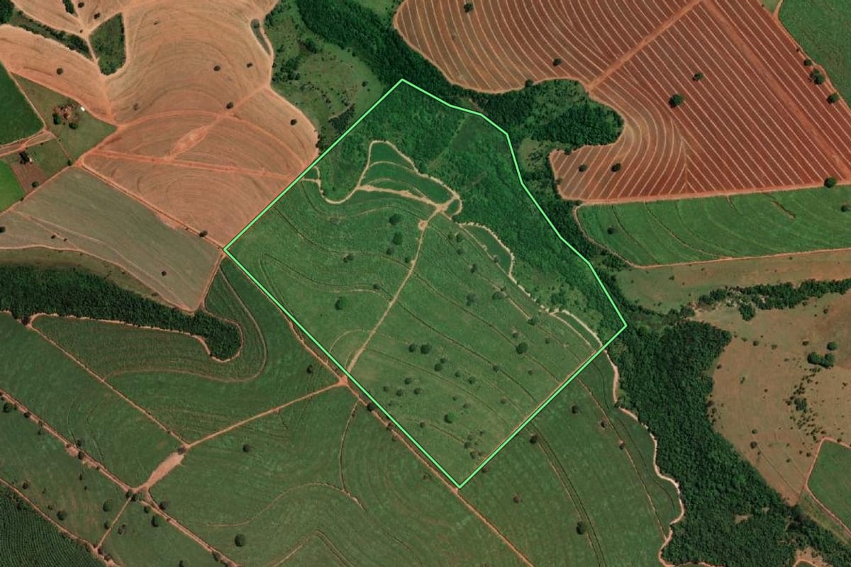 Imagem de satélite do imóvel rural em Palestina (SP), com o contorno declarado no CAR desenhado por cima.