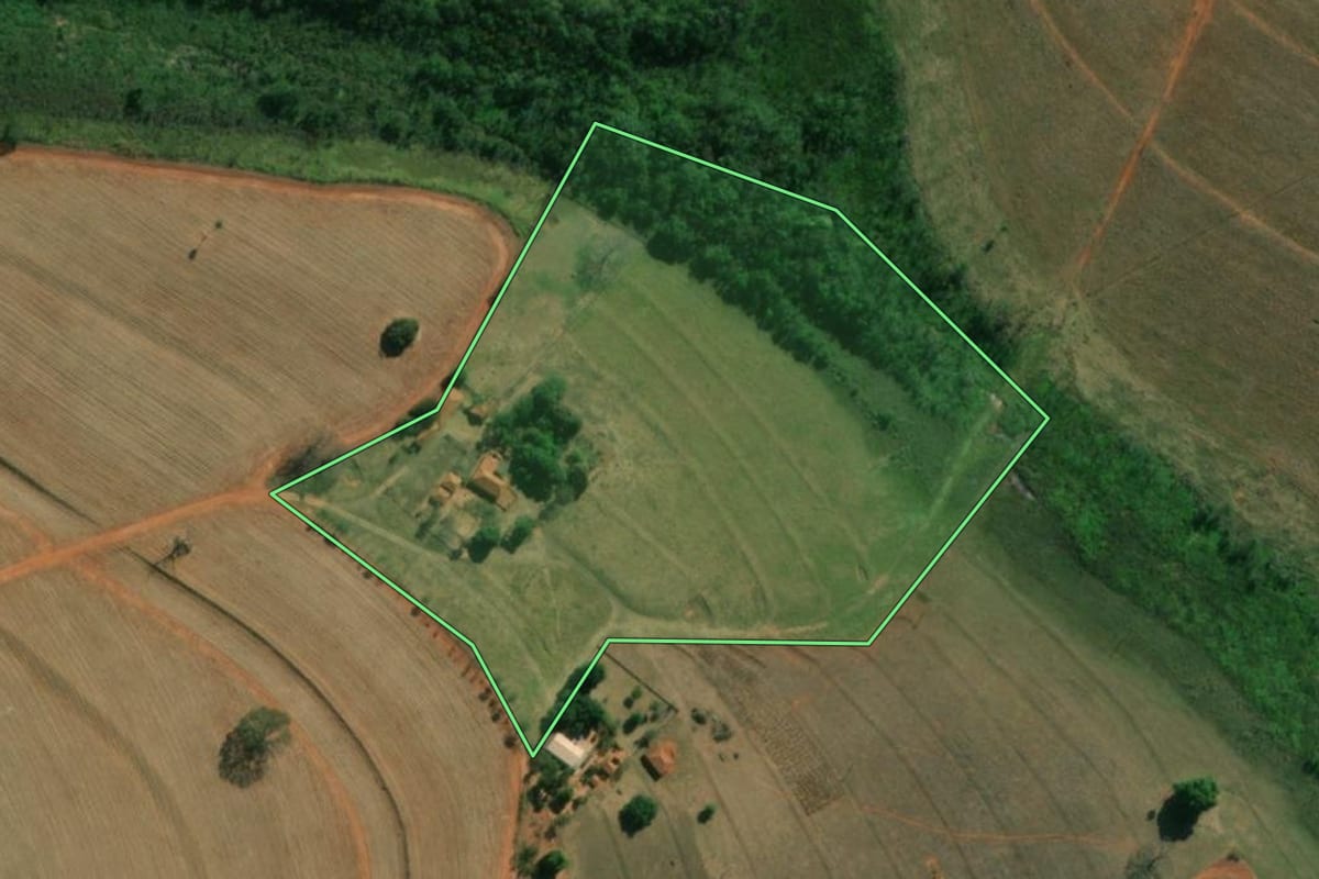 Imagem de satélite do imóvel rural em Palestina (SP), com o contorno declarado no CAR desenhado por cima.
