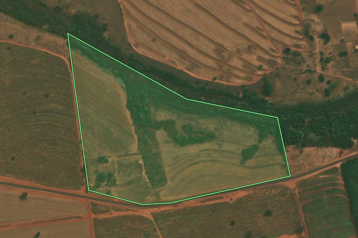 Imagem de satélite do imóvel rural em Palestina (SP), com o contorno declarado no CAR desenhado por cima.