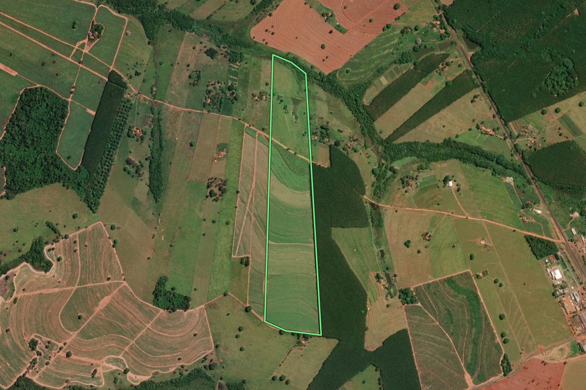 Imagem de satélite do imóvel rural em Palestina (SP), com o contorno declarado no CAR desenhado por cima.