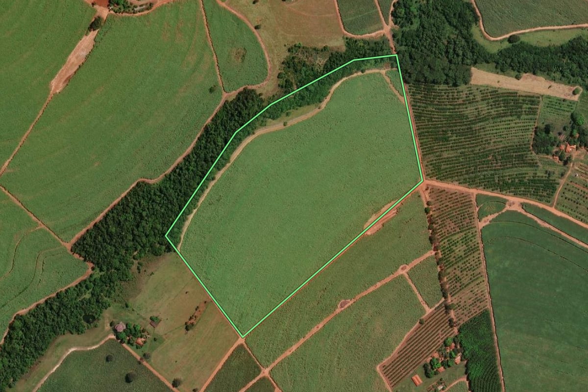 Imagem de satélite do imóvel rural em Palestina (SP), com o contorno declarado no CAR desenhado por cima.