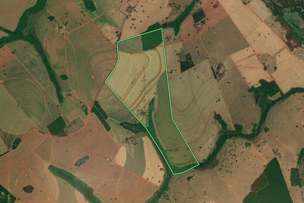 Imagem de satélite do imóvel rural em Palestina (SP), com o contorno declarado no CAR desenhado por cima.