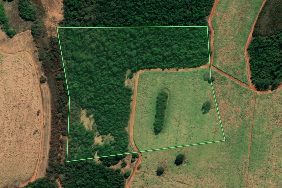 Imagem de satélite do imóvel rural em Palestina (SP), com o contorno declarado no CAR desenhado por cima.