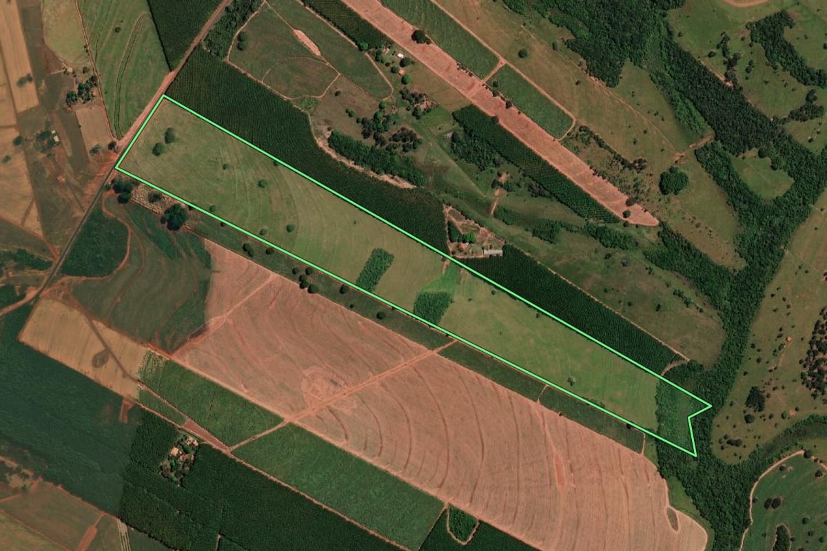 Imagem de satélite do imóvel rural em Palestina (SP), com o contorno declarado no CAR desenhado por cima.