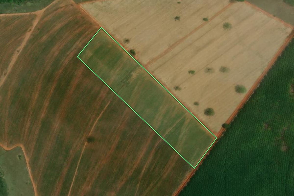 Imagem de satélite do imóvel rural em Palestina (SP), com o contorno declarado no CAR desenhado por cima.
