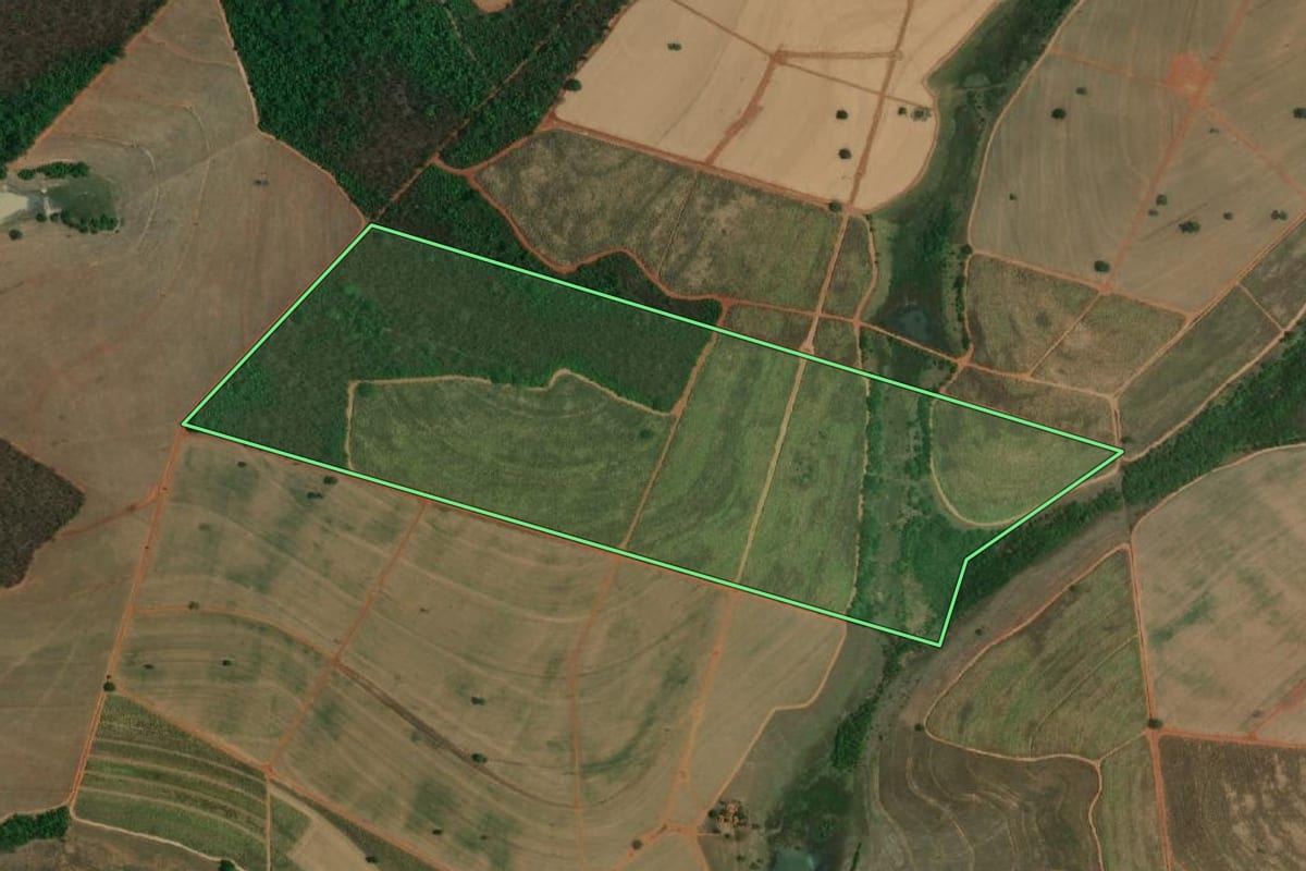 Imagem de satélite do imóvel rural em Palestina (SP), com o contorno declarado no CAR desenhado por cima.