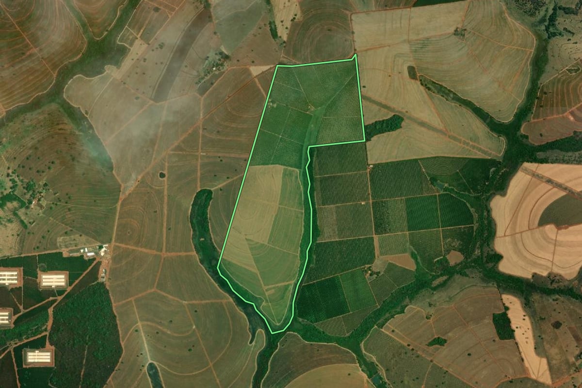 Imagem de satélite do imóvel rural em Palestina (SP), com o contorno declarado no CAR desenhado por cima.