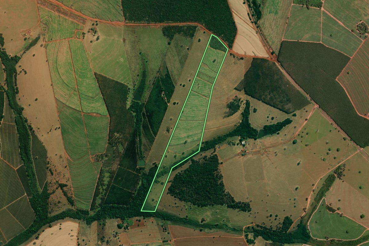 Imagem de satélite do imóvel rural em Palestina (SP), com o contorno declarado no CAR desenhado por cima.