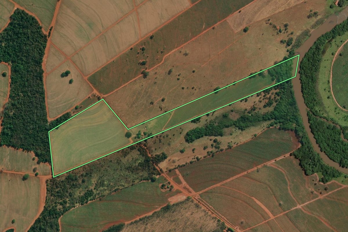 Imagem de satélite do imóvel rural em Palestina (SP), com o contorno declarado no CAR desenhado por cima.