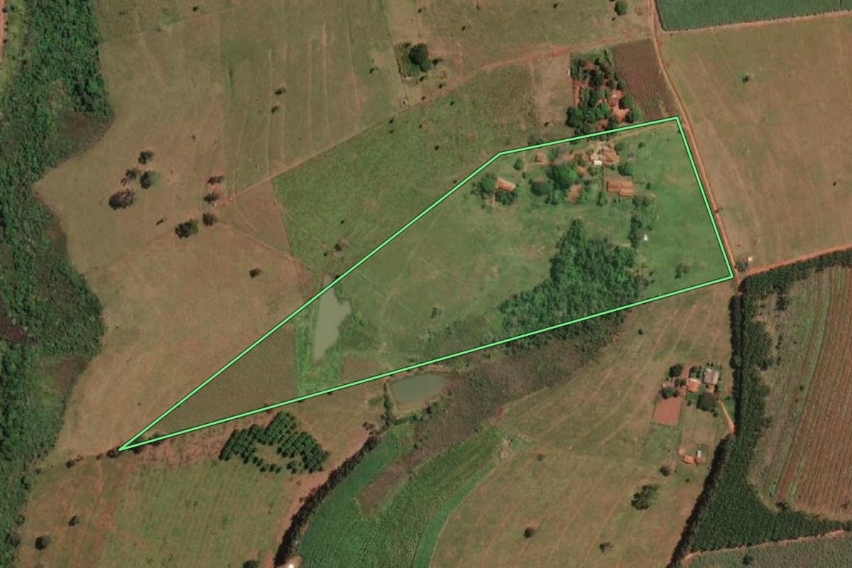 Imagem de satélite do imóvel rural em Palestina (SP), com o contorno declarado no CAR desenhado por cima.