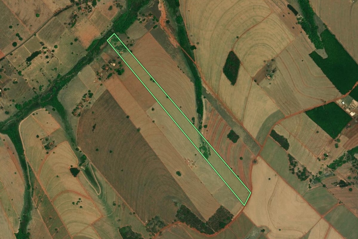 Imagem de satélite do imóvel rural em Palestina (SP), com o contorno declarado no CAR desenhado por cima.
