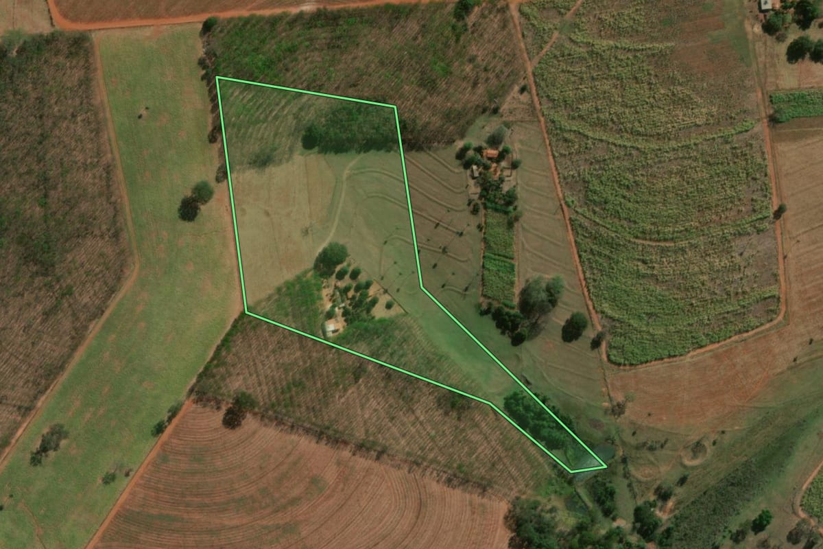 Imagem de satélite do imóvel rural em Palestina (SP), com o contorno declarado no CAR desenhado por cima.