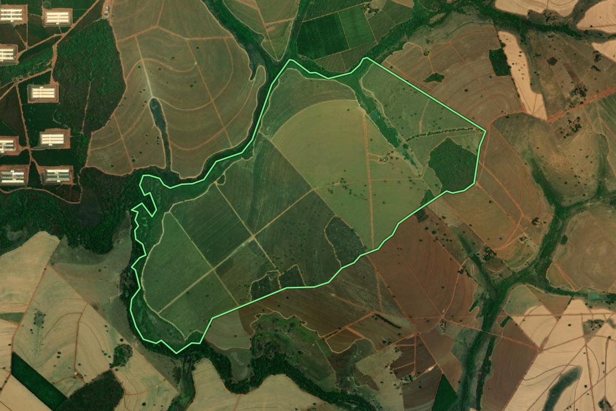 Imagem de satélite do imóvel rural em Palestina (SP), com o contorno declarado no CAR desenhado por cima.