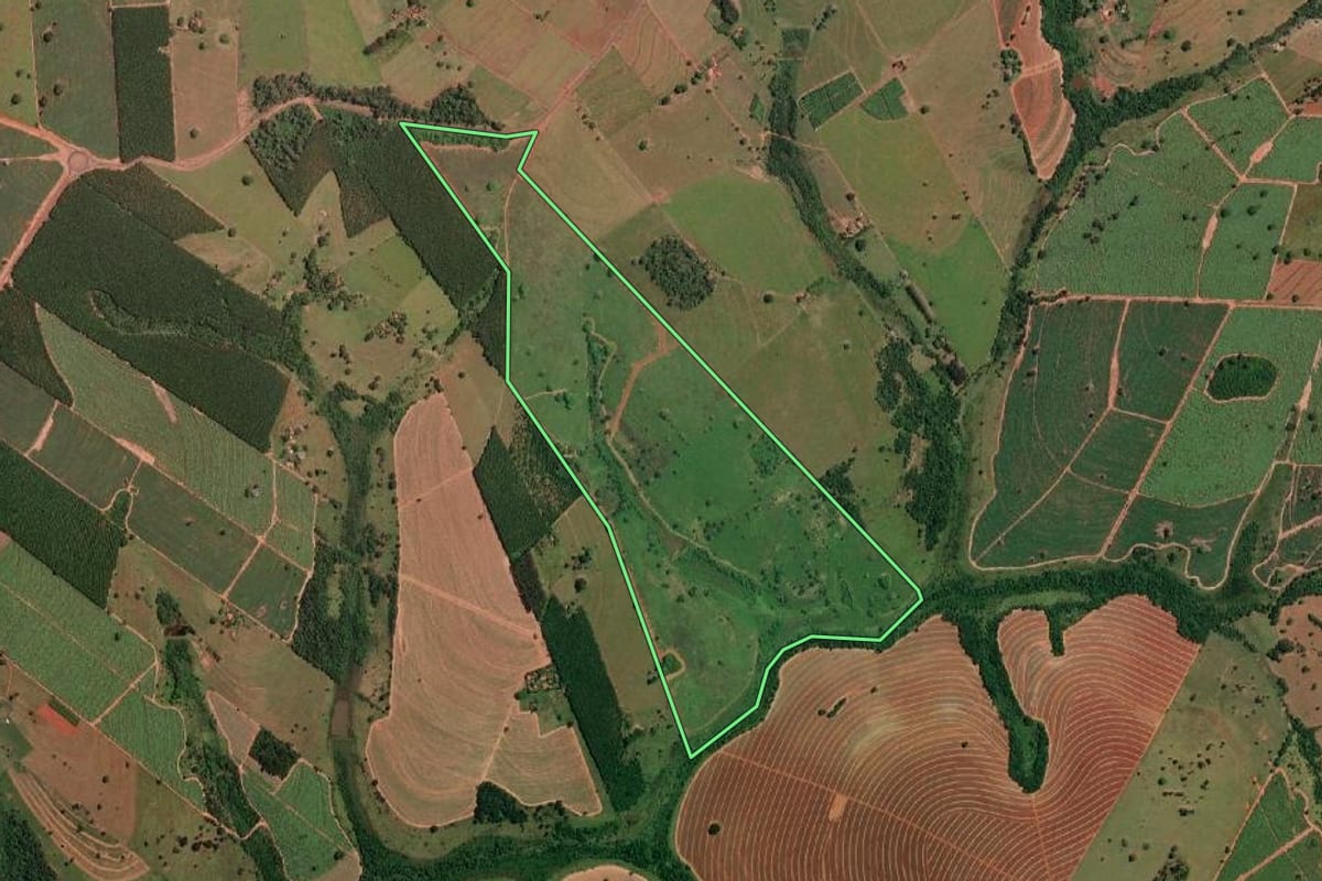 Imagem de satélite do imóvel rural em Palestina (SP), com o contorno declarado no CAR desenhado por cima.