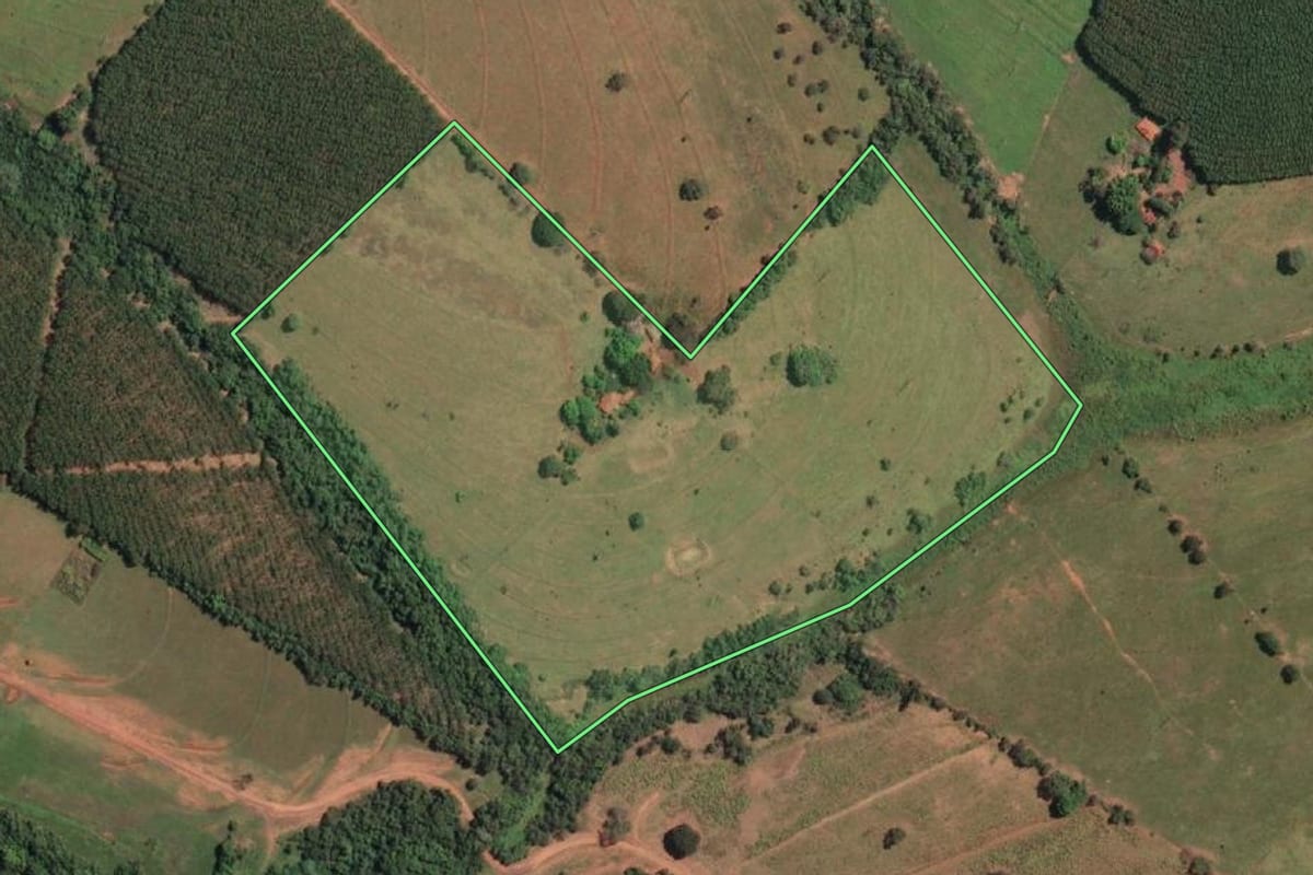 Imagem de satélite do imóvel rural em Palestina (SP), com o contorno declarado no CAR desenhado por cima.