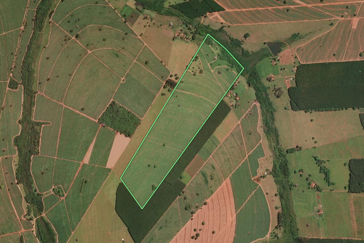 Imagem de satélite do imóvel rural em Palestina (SP), com o contorno declarado no CAR desenhado por cima.