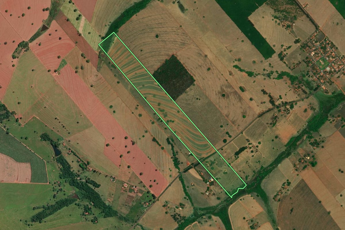 Imagem de satélite do imóvel rural em Palestina (SP), com o contorno declarado no CAR desenhado por cima.