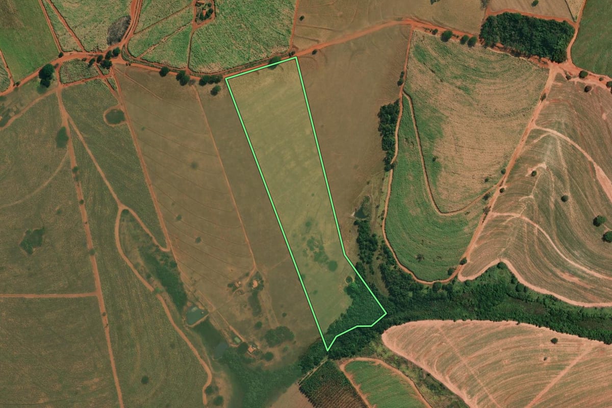 Imagem de satélite do imóvel rural em Palestina (SP), com o contorno declarado no CAR desenhado por cima.