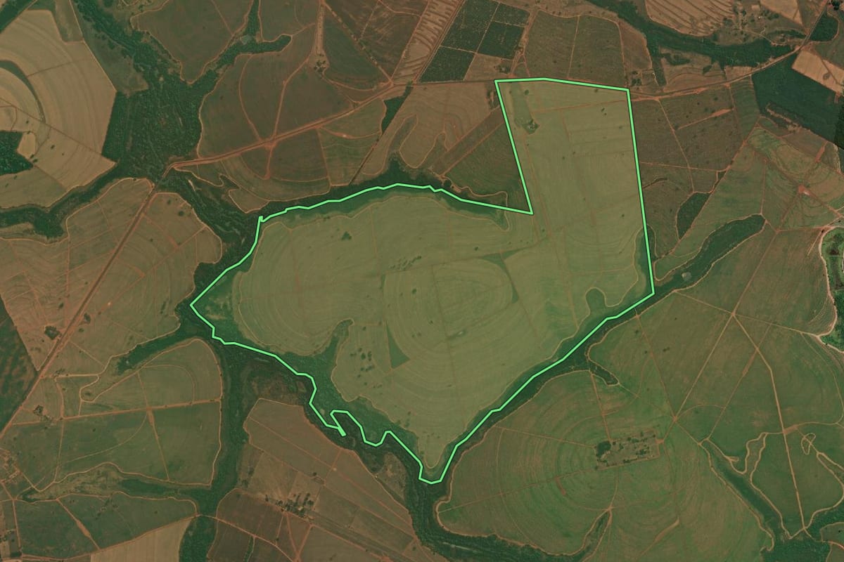 Imagem de satélite do imóvel rural em Palestina (SP), com o contorno declarado no CAR desenhado por cima.