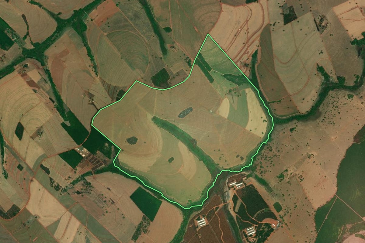 Imagem de satélite do imóvel rural em Palestina (SP), com o contorno declarado no CAR desenhado por cima.