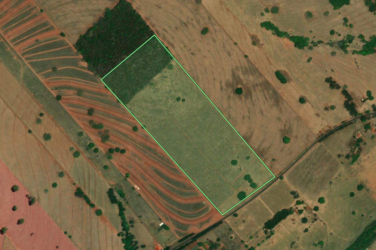 Imagem de satélite do imóvel rural em Palestina (SP), com o contorno declarado no CAR desenhado por cima.