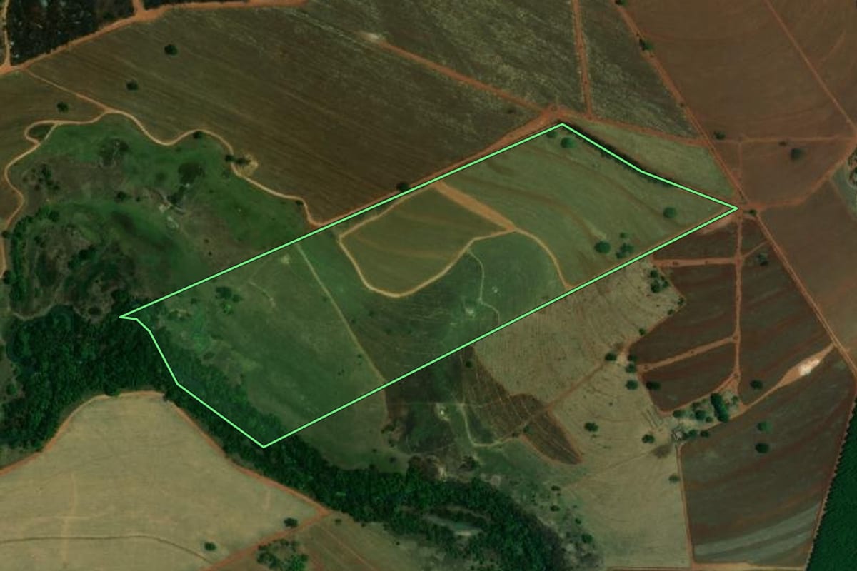 Imagem de satélite do imóvel rural em Palestina (SP), com o contorno declarado no CAR desenhado por cima.