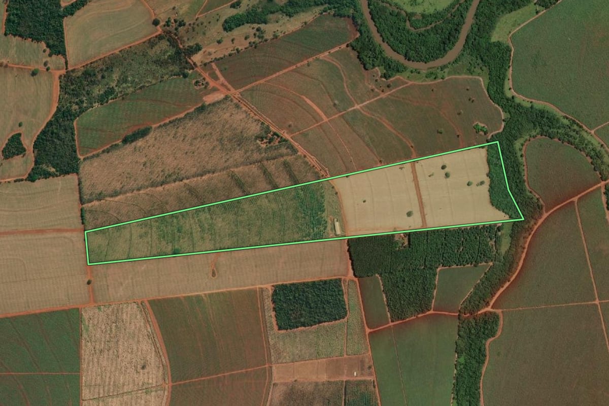 Imagem de satélite do imóvel rural em Palestina (SP), com o contorno declarado no CAR desenhado por cima.