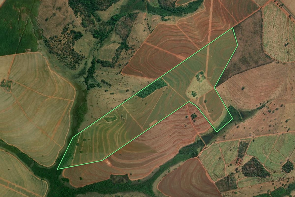 Imagem de satélite do imóvel rural em Palestina (SP), com o contorno declarado no CAR desenhado por cima.