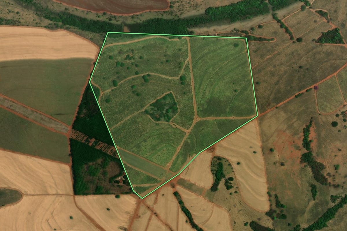 Imagem de satélite do imóvel rural em Palestina (SP), com o contorno declarado no CAR desenhado por cima.