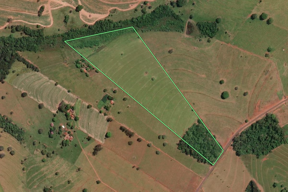 Imagem de satélite do imóvel rural em Palestina (SP), com o contorno declarado no CAR desenhado por cima.