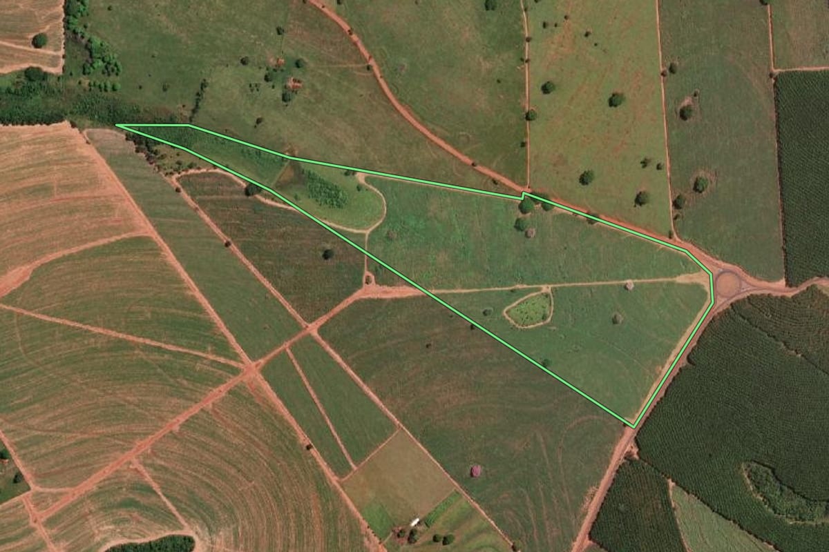 Imagem de satélite do imóvel rural em Palestina (SP), com o contorno declarado no CAR desenhado por cima.
