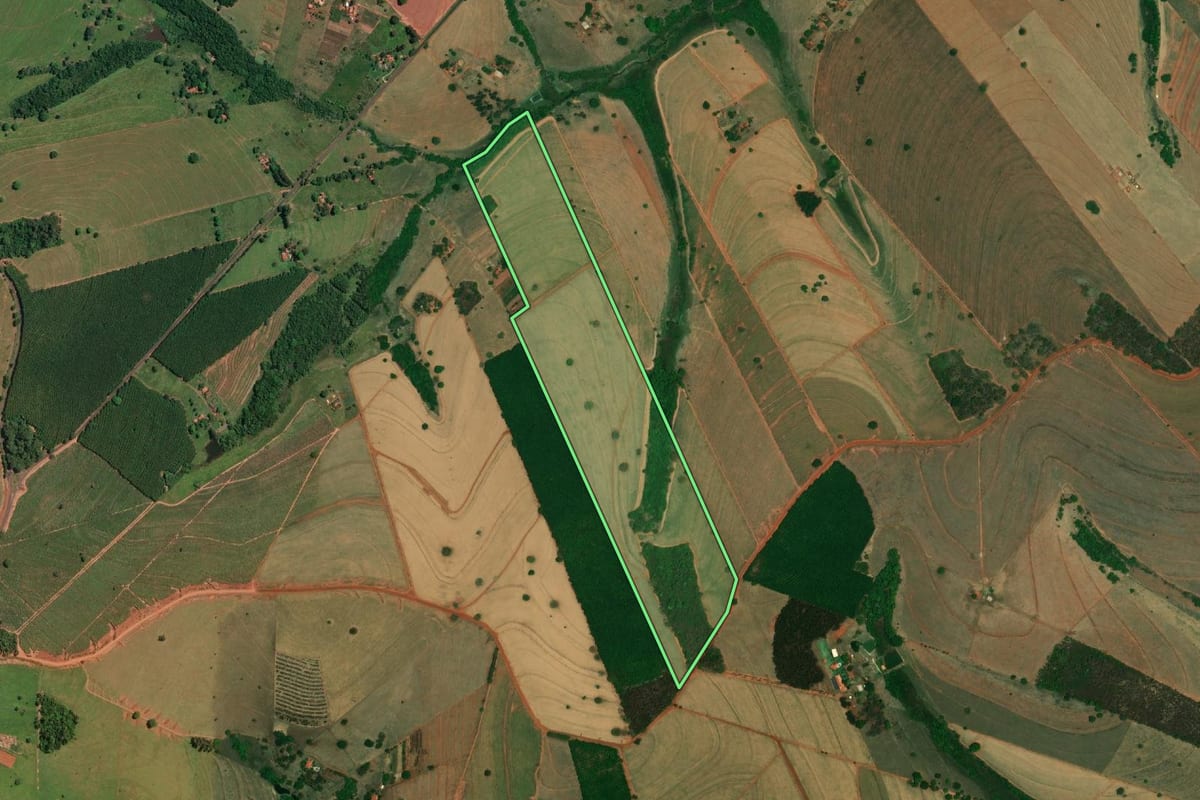 Imagem de satélite do imóvel rural em Palestina (SP), com o contorno declarado no CAR desenhado por cima.