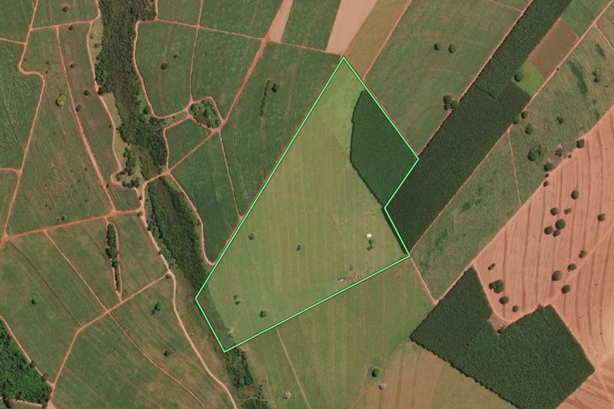 Imagem de satélite do imóvel rural em Palestina (SP), com o contorno declarado no CAR desenhado por cima.