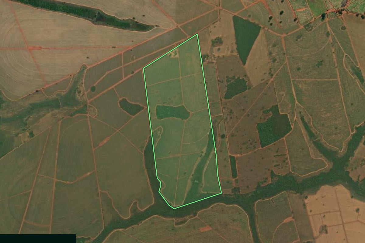 Imagem de satélite do imóvel rural em Palestina (SP), com o contorno declarado no CAR desenhado por cima.