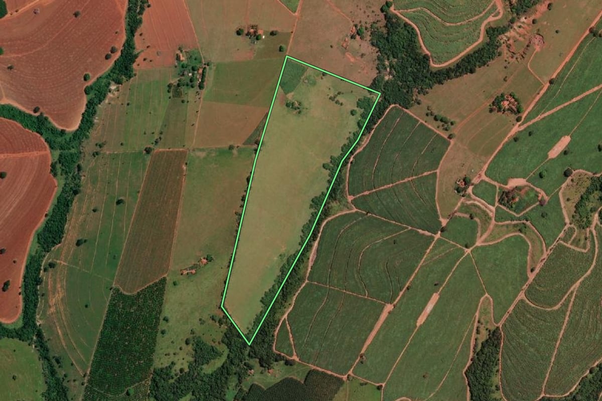 Imagem de satélite do imóvel rural em Palestina (SP), com o contorno declarado no CAR desenhado por cima.
