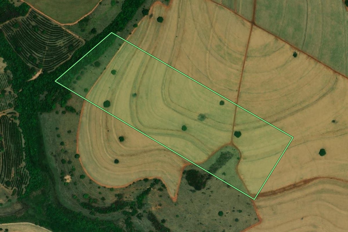 Imagem de satélite do imóvel rural em Palestina (SP), com o contorno declarado no CAR desenhado por cima.