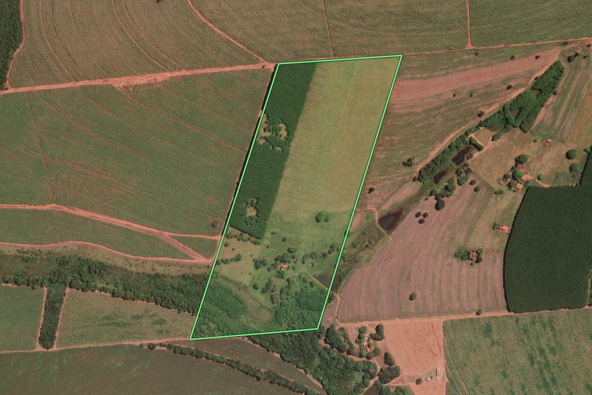Imagem de satélite do imóvel rural em Palestina (SP), com o contorno declarado no CAR desenhado por cima.
