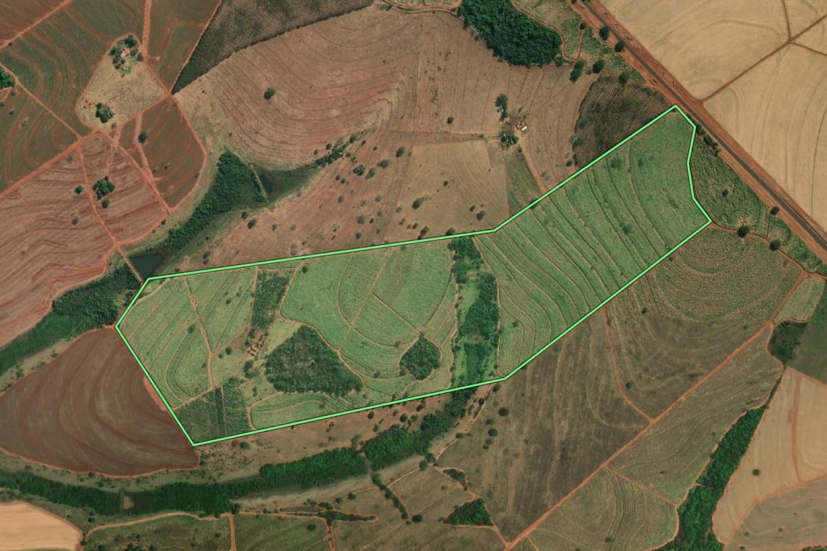 Imagem de satélite do imóvel rural em Palestina (SP), com o contorno declarado no CAR desenhado por cima.