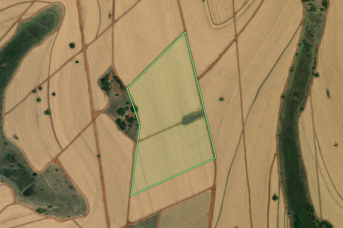 Imagem de satélite do imóvel rural em Palestina (SP), com o contorno declarado no CAR desenhado por cima.