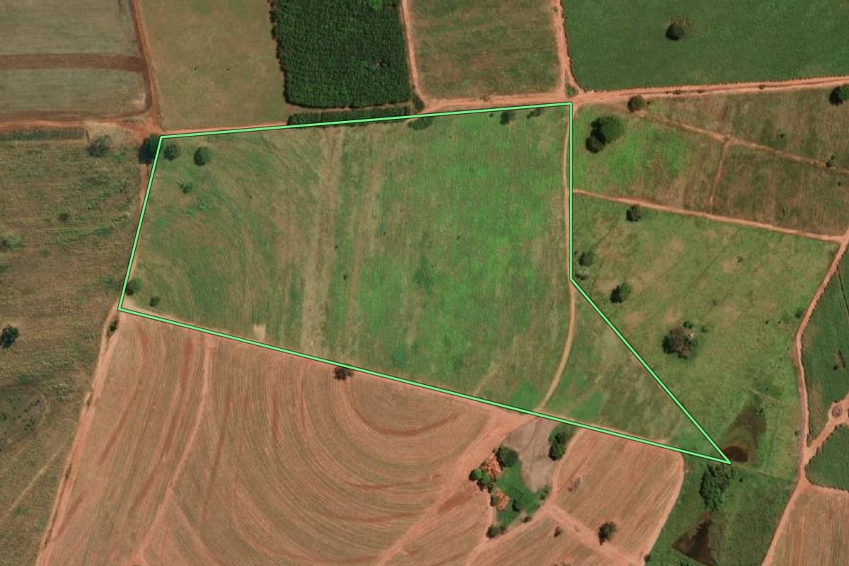Imagem de satélite do imóvel rural em Palestina (SP), com o contorno declarado no CAR desenhado por cima.