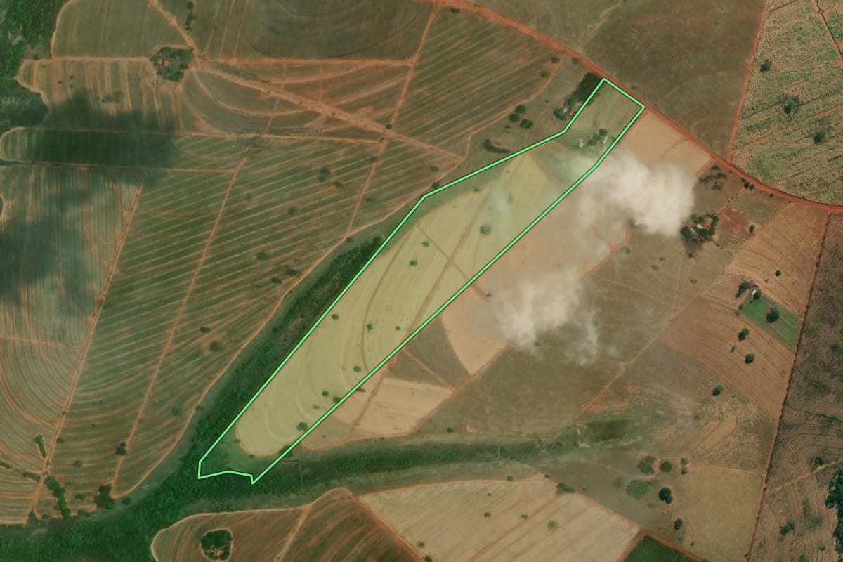 Imagem de satélite do imóvel rural em Palestina (SP), com o contorno declarado no CAR desenhado por cima.