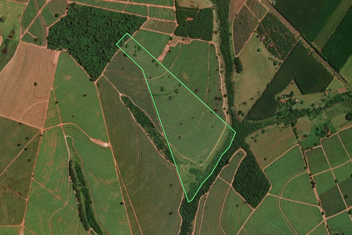 Imagem de satélite do imóvel rural em Palestina (SP), com o contorno declarado no CAR desenhado por cima.