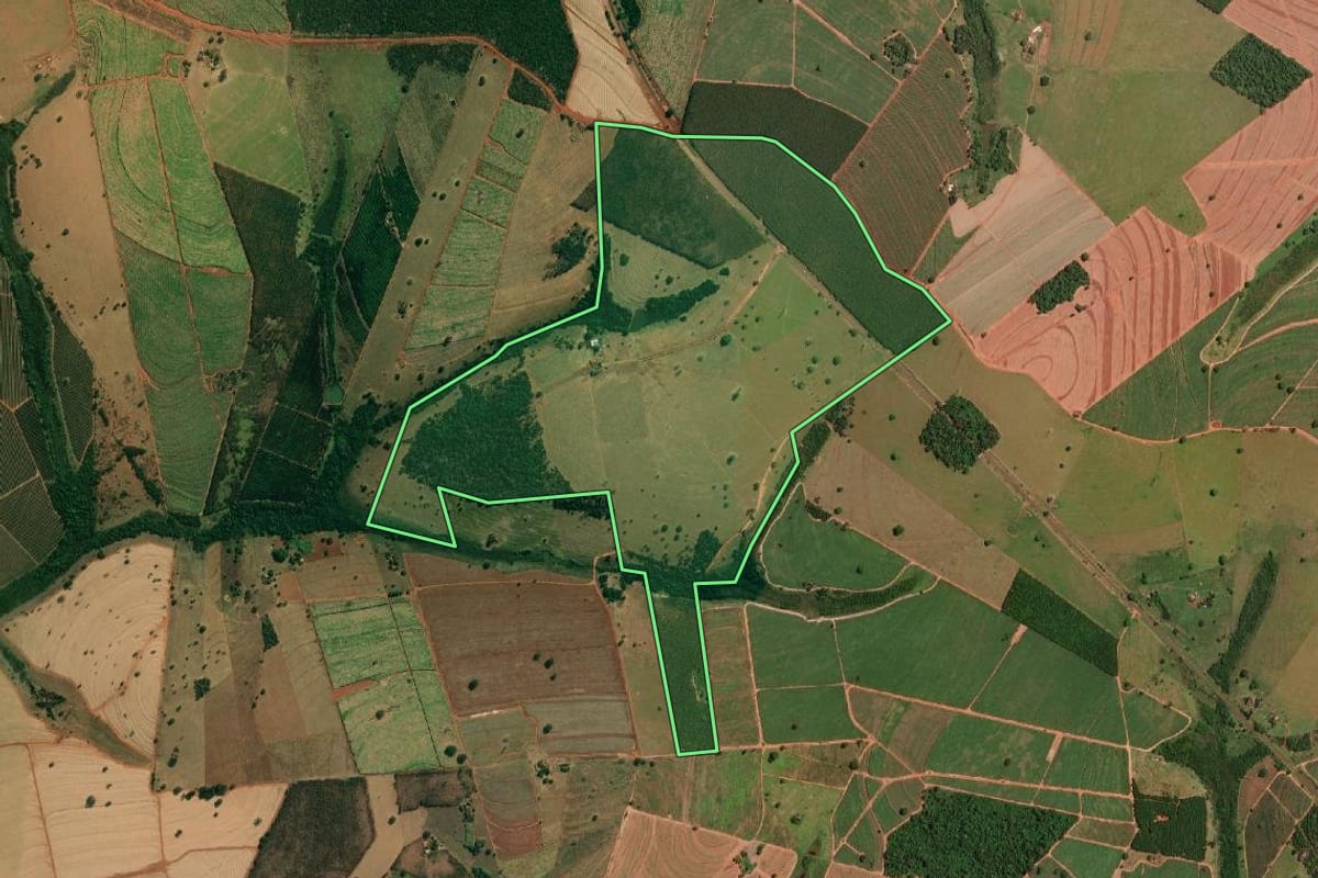 Imagem de satélite do imóvel rural em Palestina (SP), com o contorno declarado no CAR desenhado por cima.