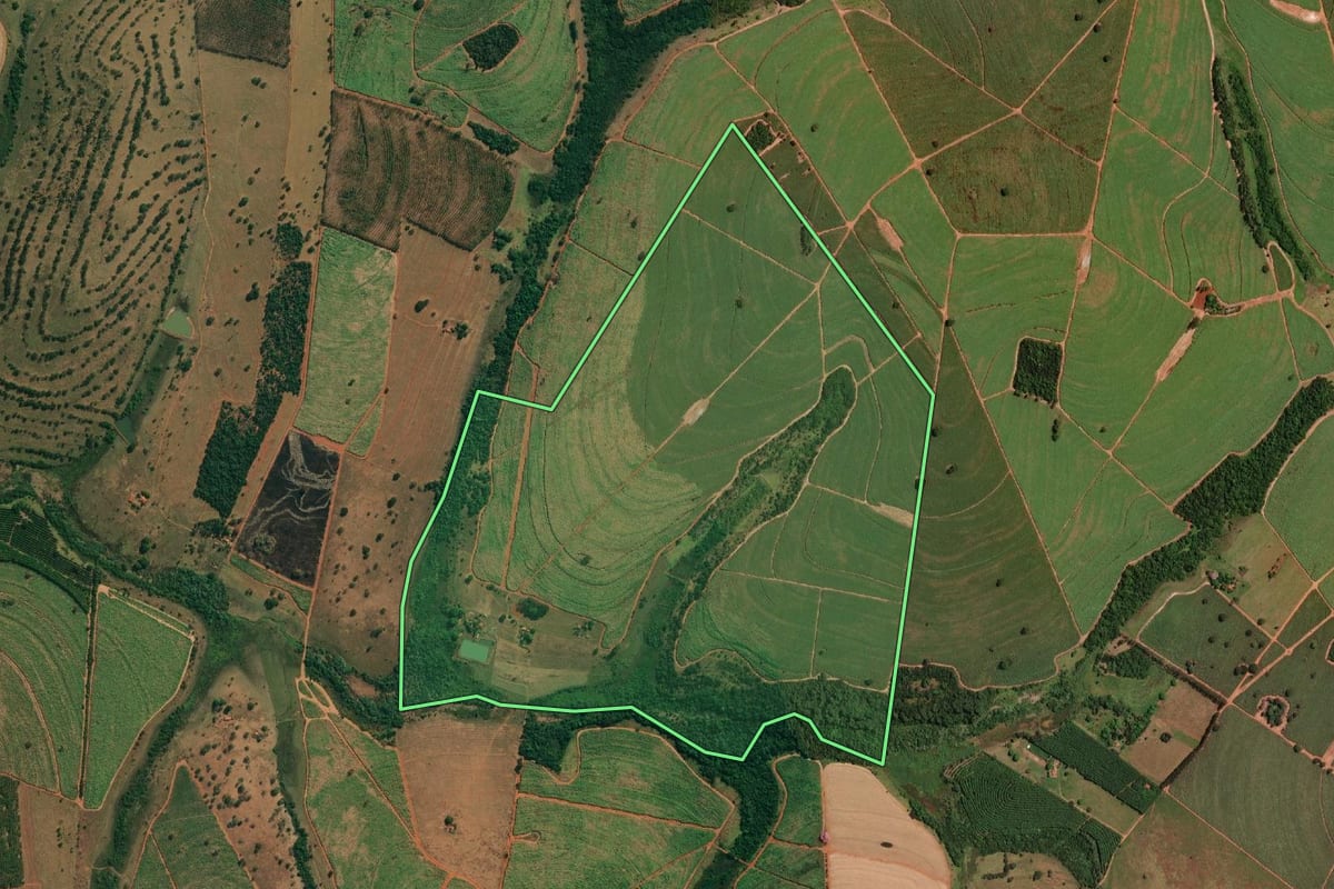 Imagem de satélite do imóvel rural em Palestina (SP), com o contorno declarado no CAR desenhado por cima.