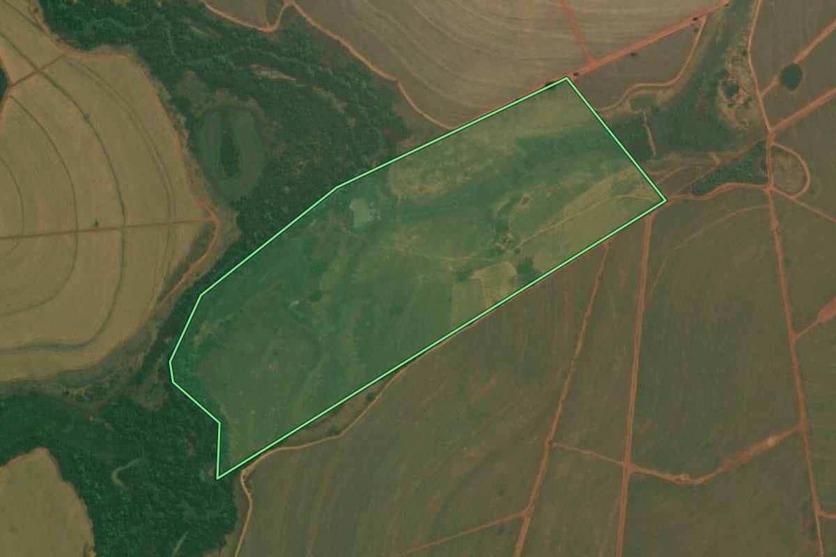 Imagem de satélite do imóvel rural em Palestina (SP), com o contorno declarado no CAR desenhado por cima.