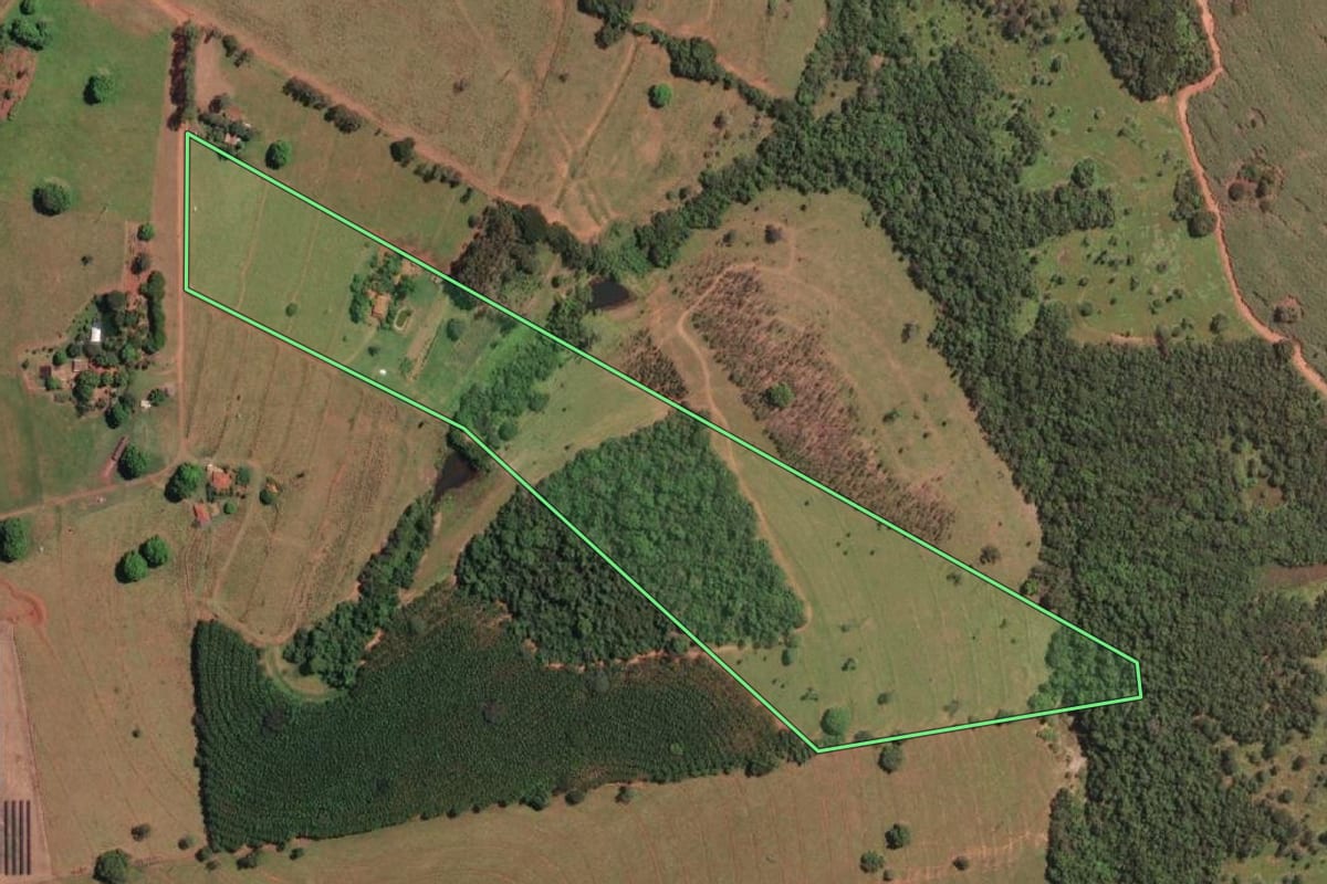 Imagem de satélite do imóvel rural em Palestina (SP), com o contorno declarado no CAR desenhado por cima.